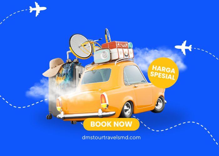 HERO SECTION DMS TOUR TRAVEL SMD